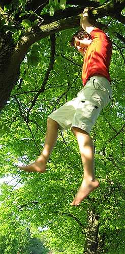 This is me, hanging on a tree.